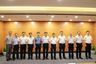 固安肖亚洲黑社,暗流涌动的地下势力